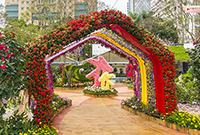 相片：通過彩色鮮花隧道進入庭園。