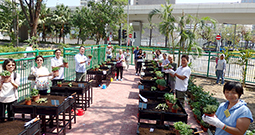 Photo: Tenants of Yue Wan Estate enjoy the fun of planting while their environmental awareness is strengthened.