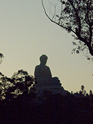 相片：黃昏時分的天壇大佛。