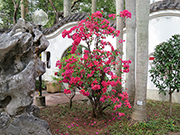 相片:饒富漢代風格的漢花園,古意盎然。 相片:饒富漢代風格的漢花園,古意盎然。