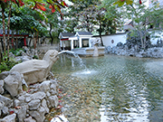 Photo: The pond water becomes crystal clear after adopting an upgraded filter system.