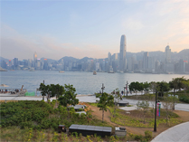 相片：天台花园可饱览维港景色。