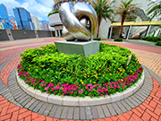 相片：德朗邨 &mdash; 黃花木春菊和紫花石竹相映成趣，簇擁着藝術雕塑，令人賞心悅目。