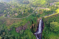 相片：盛產錫蘭茶葉的Nuwara Eliya。