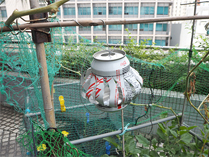 相片：環保創意獎 — 汽水罐循環再造成風車，作驅鳥用途。