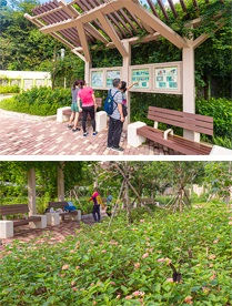Photo: The ecology garden of Fai Ming Estate.