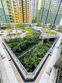 相片：零灌溉系統締造一片綠化空間，提升通風廊的空氣流通，節省停車場使用機械通風裝置而消耗的能源。