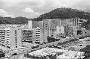 Photo: Pak Tin Estate in 1970s.