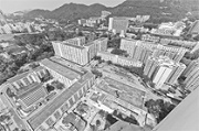 Photo: Pak Tin Estate before redevelopment.