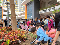 相片：園藝小組在石硤尾邨舉辦社區綠化活動。