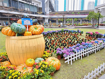 相片：海盈邨的花藝活動供居民賞花、拍照。