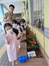 相片：「綠樂家居」種植活動。
