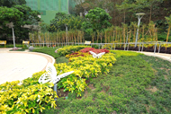 Photo: A lush green view in Ma Hang Park.