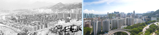 相片：分別攝於1960年(左)和2010年(右)的九龍西一帶。