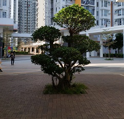 洪福商場