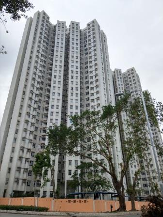 相片: 翠麗花園