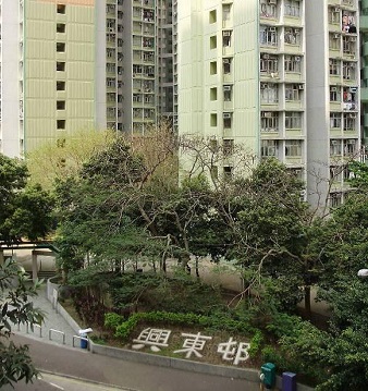相片: 興東邨