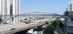 Long Span Footbridge Connecting Hoi Ying Estate and Hoi Tat Estate