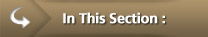 Other Menu: In This Section Other Menu: In This Section