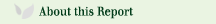 About this Report