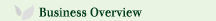 Business Overview