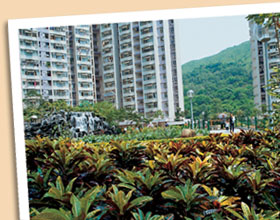 Greenery at King Lam Estate,Tseung Kwan O