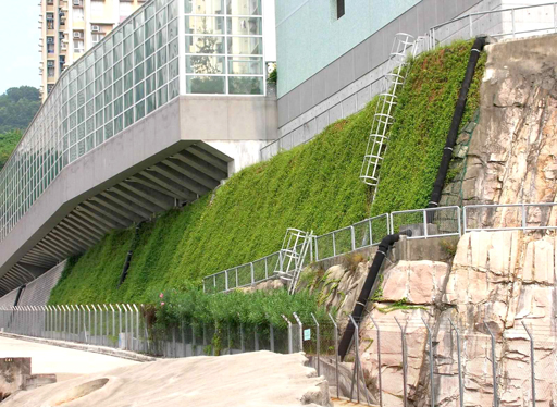 landscape design pictures landscape design pictures