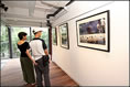 Photo: The unstable weather in July does not stop people from visiting this special exhibition. They all come to search for the fond memory of culture and everyday life in the old estates.