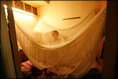 Photo: Hiding in the mosquito net is the little boy's favourite pastime.