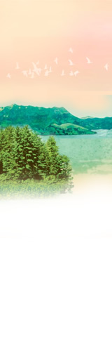 圖：錦豐苑