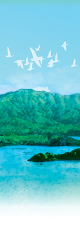 圖：馬鞍山錦豐苑 裝飾圖片