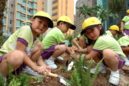 Photo: Community participation in planting