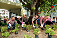 Photo: "Action Seedling" Community Participation Scheme