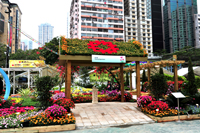 相片: 2009 年香港花卉展覽