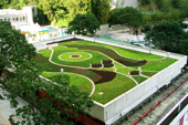 Photo: Green Roof