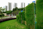 Photo: Green wall
