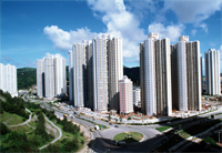 Photo: Hau Tak Estate