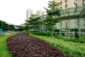 Photo: Sky Garden