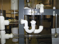Photo: Common W-trap system design model
