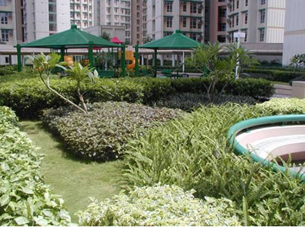 Photo: Garden at Lei On Court, Lam Tin
