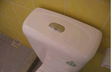 Photo: A pilot project on dual flush toilet to reduce flushing water consumption