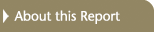 About this Report