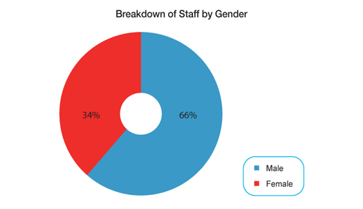 Chart: Breakdown of Staff by Gender