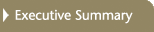 Executive Summary