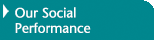 Our Social Performance