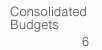 Consolidated Budgets