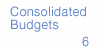 Consolidated Budgets