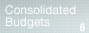 6.Consolidated Budgets