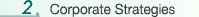 Corporate Strategies