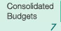 Consolidated Budgets